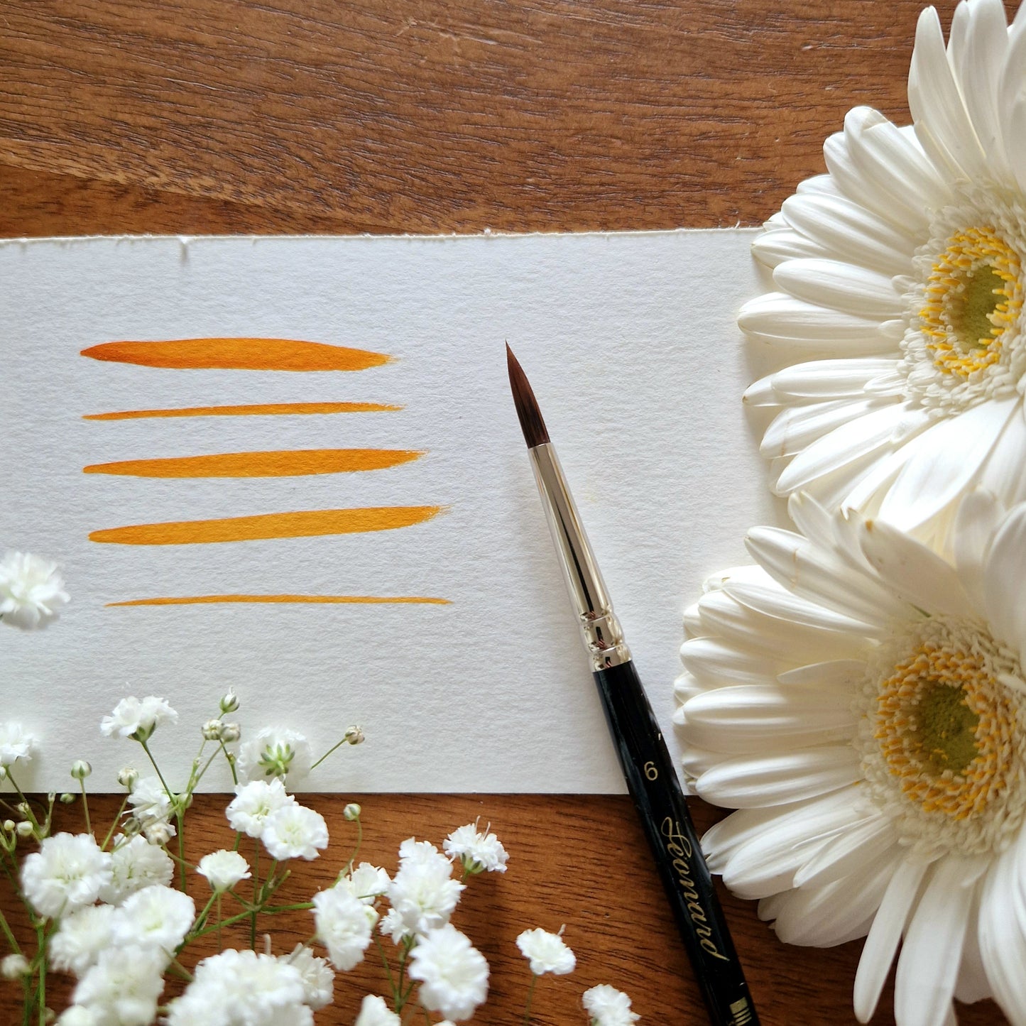 1 Pinceau "Leonard" "petit-gris" numéro 6