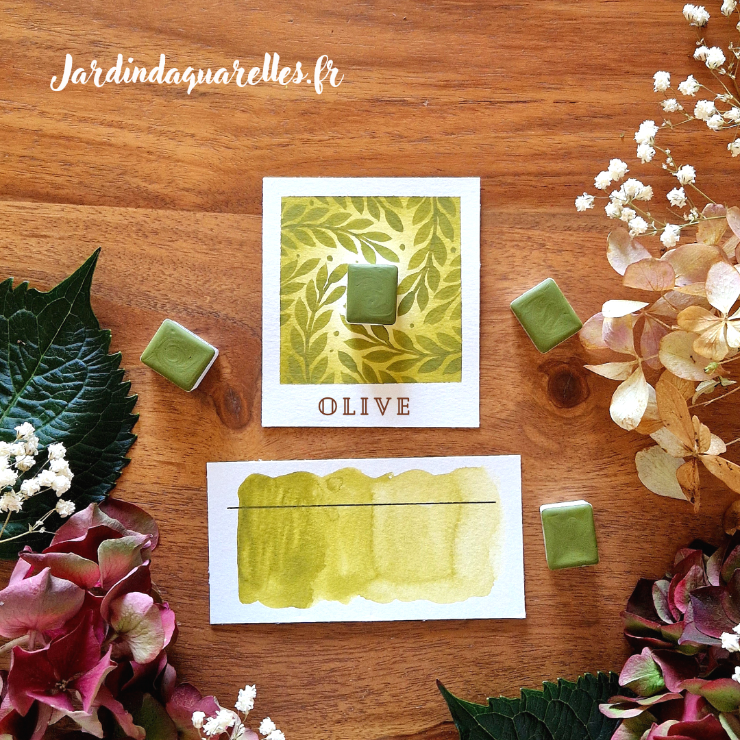 Olive, aquarelle artisanale, demi-godet