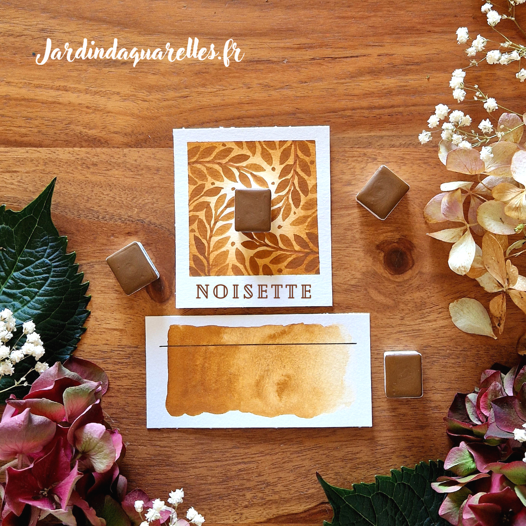 Noisette, aquarelle artisanale, demi-godet