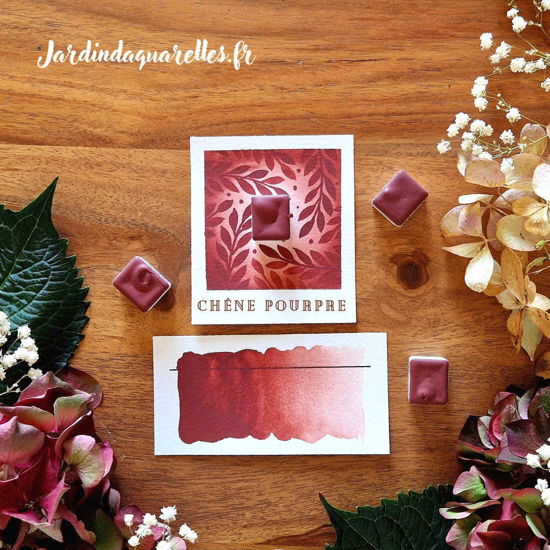 Chêne Pourpre, aquarelle artisanale,  demi-godet