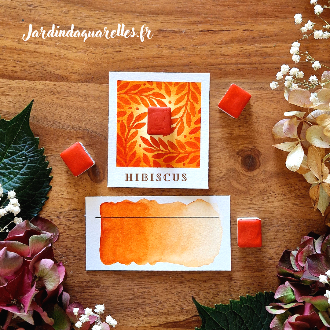 Hibiscus, aquarelle artisanale, demi-godet