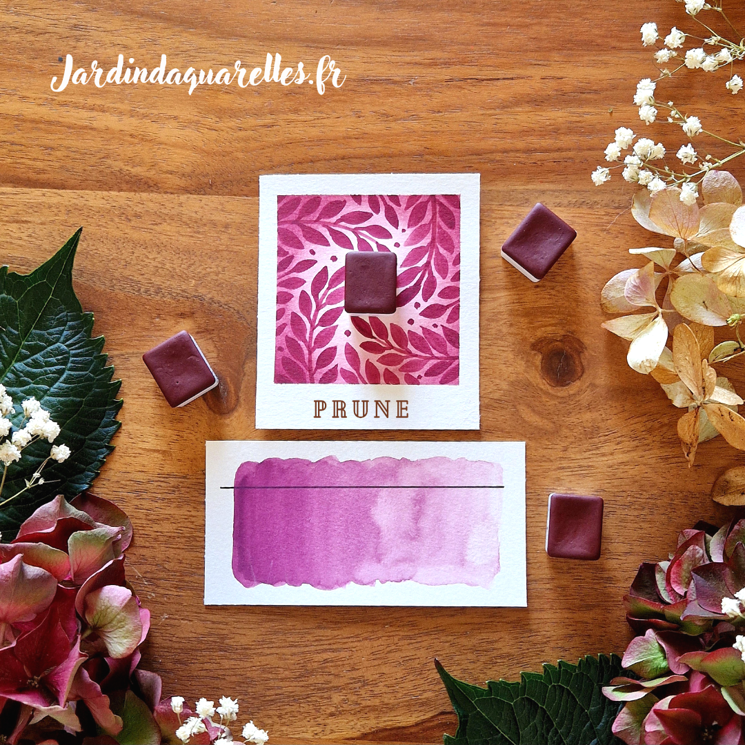 Prune, aquarelle artisanale, demi-godet