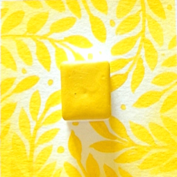 Mimosa, nouvelle recette, aquarelle artisanale, demi-godet