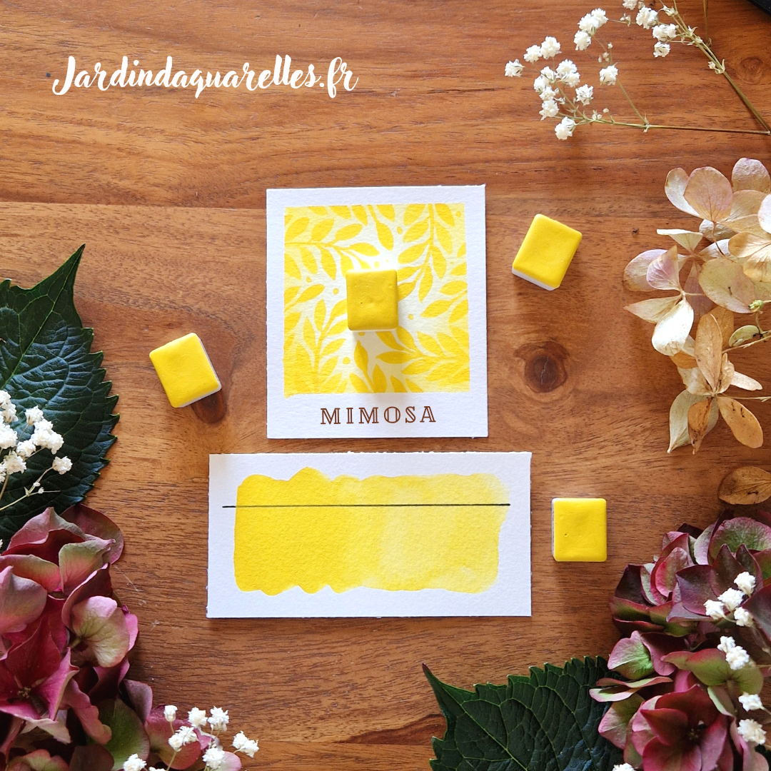 Mimosa, nouvelle recette, aquarelle artisanale, demi-godet