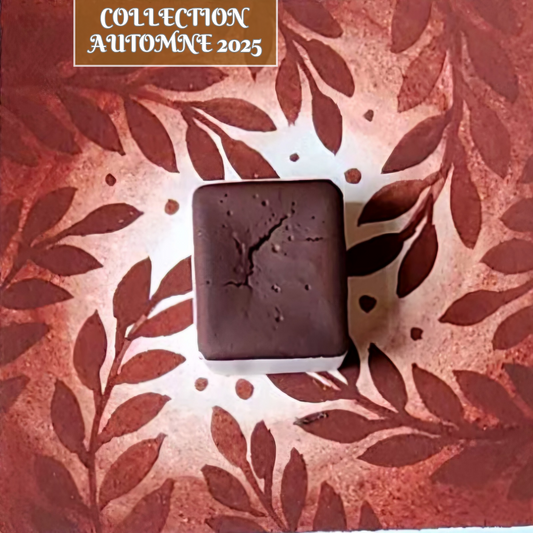 Brownie, aquarelle artisanale, demi-godet