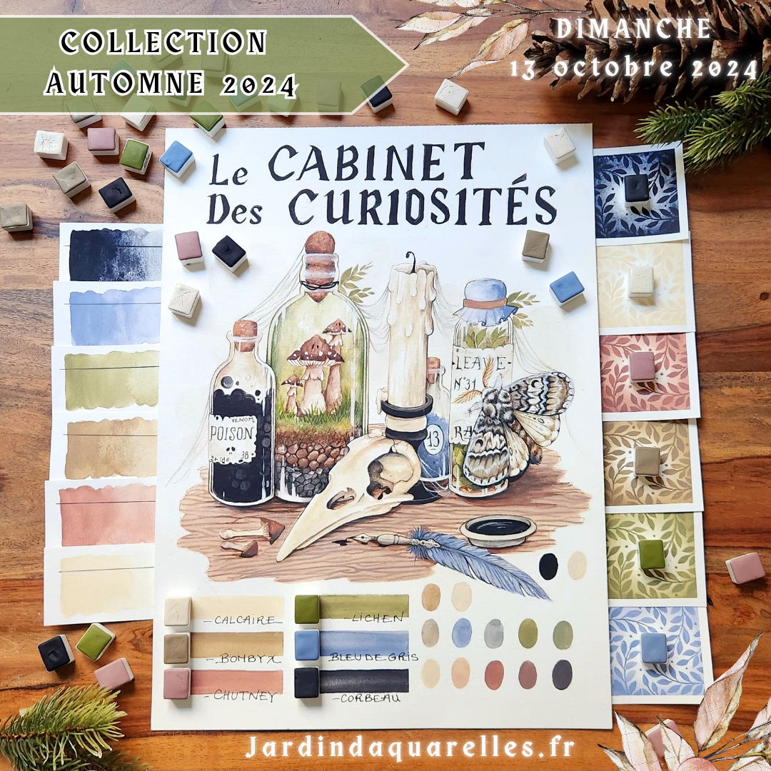 Set "CABINET DE CURIOSITÉS" 6 aquarelles artisanales