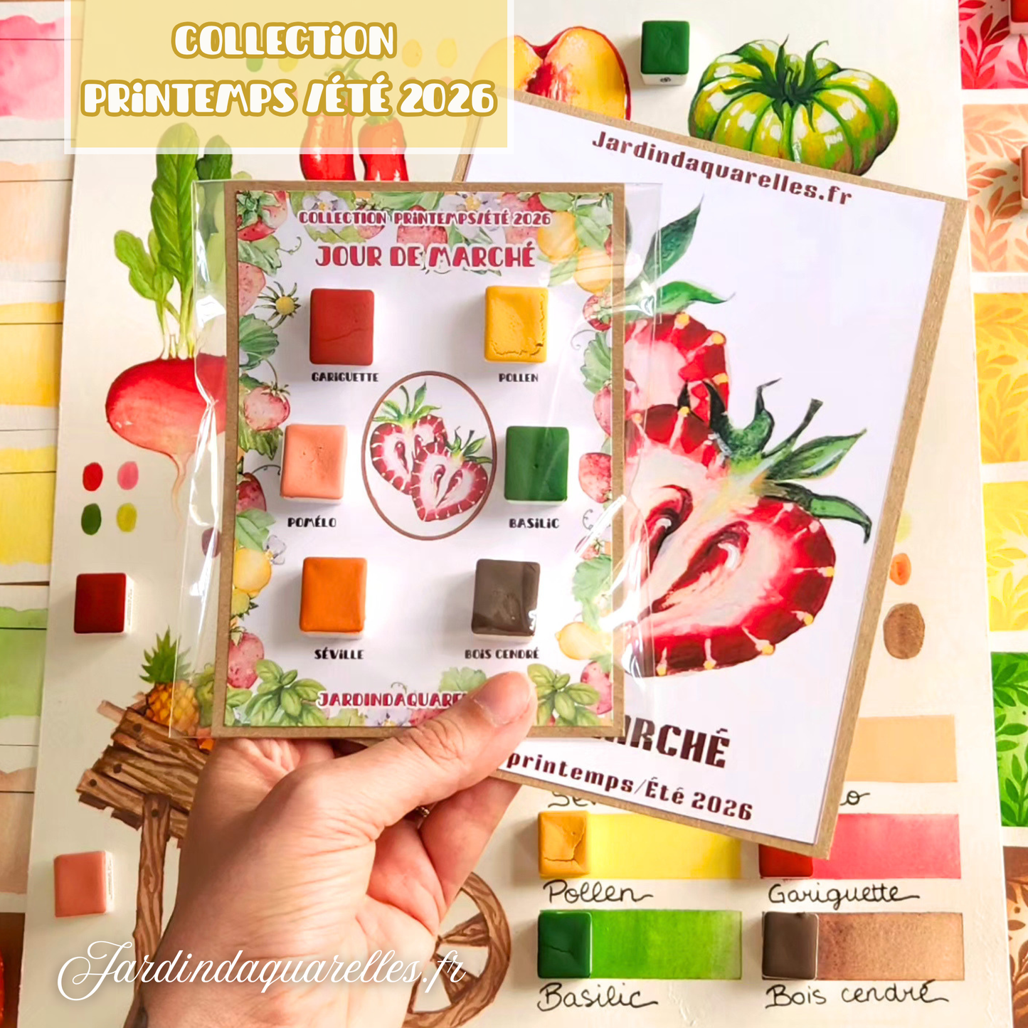 Basilic, aquarelle artisanale, demi-godet