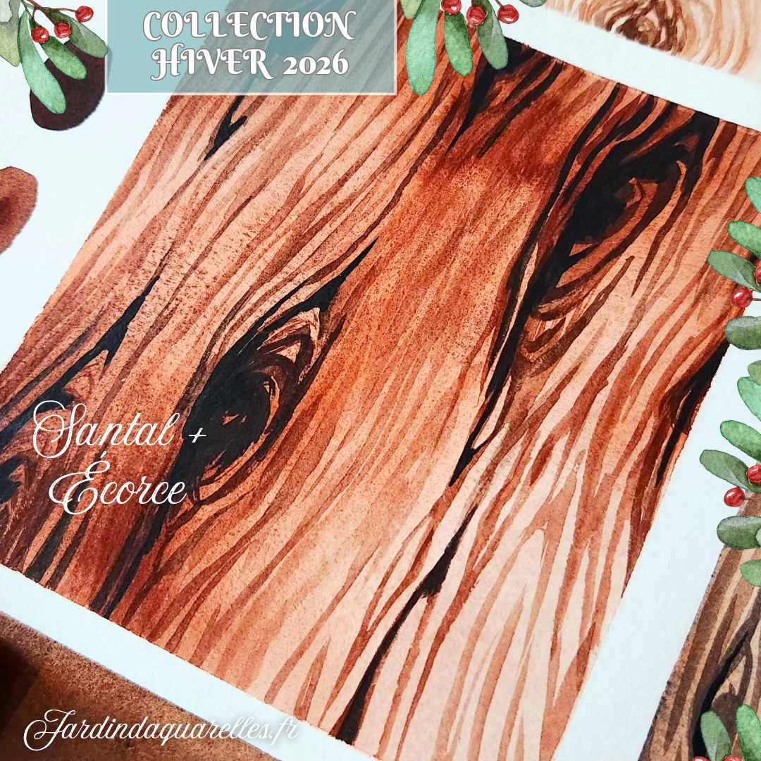 Set de 4 aquarelles artisanales "BOISERIES"